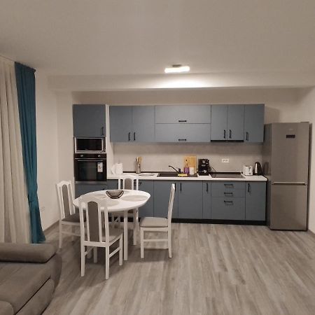 Apartament 2 Camere Lucian Băile Felix 外观 照片