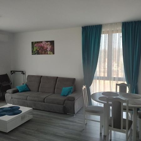 Apartament 2 Camere Lucian Băile Felix 外观 照片