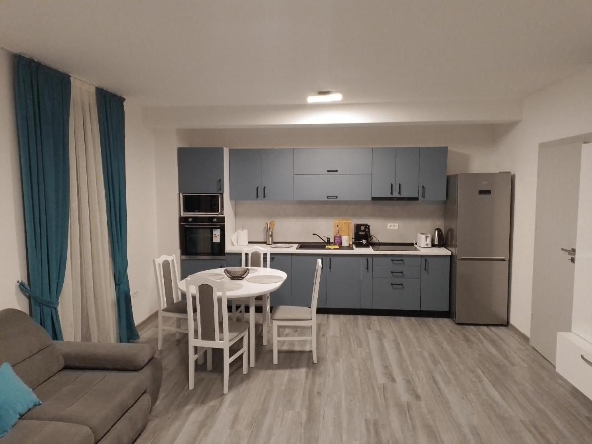 Apartament 2 Camere Lucian Băile Felix 外观 照片