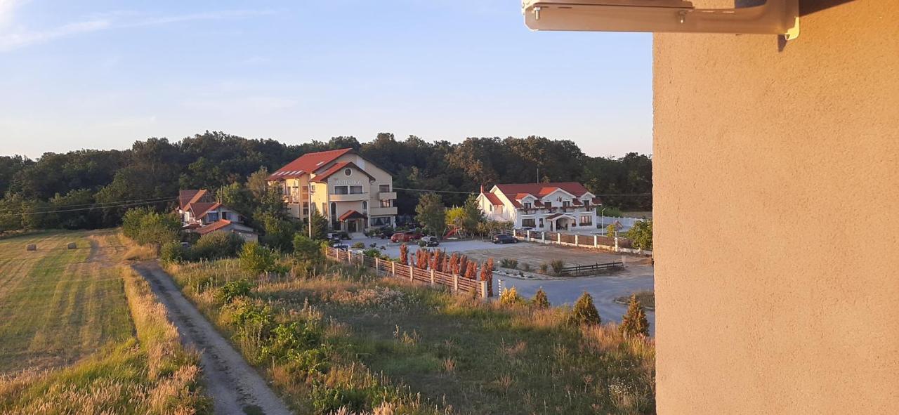 Apartament 2 Camere Lucian Băile Felix 外观 照片